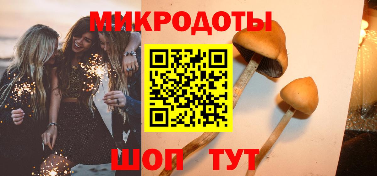 Псилоцибиновые грибы ЛСД Ревда